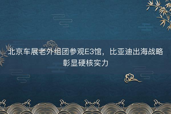 北京车展老外组团参观E3馆，<a href=