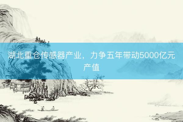 湖北重仓传感器产业，力争五年带动5000亿元产值