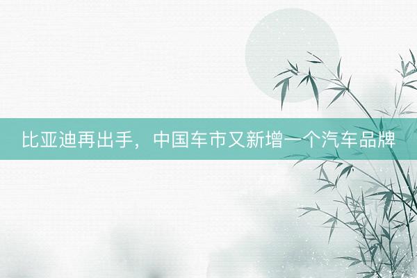 比亚迪再出手，中国车市又新增一个汽车品牌