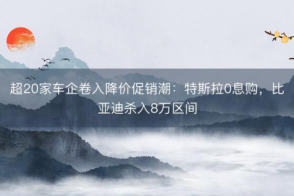超20家车企卷入降价促销潮：特斯拉0息购，比亚迪杀入8万区间