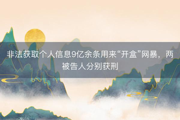 非法获取个人信息9亿余条用来“开盒”网暴，两被告人分别获刑
