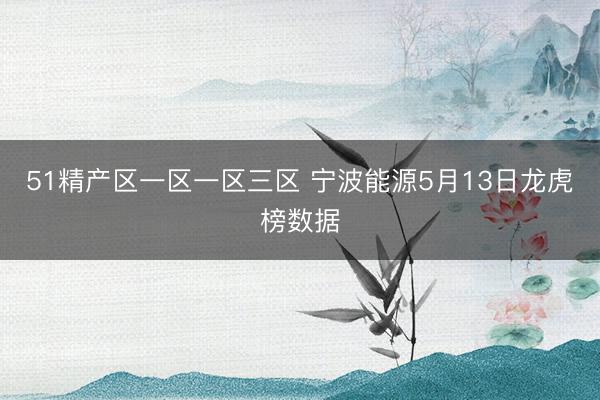 51精产区一区一区三区 宁波能源5月13日龙虎榜数据