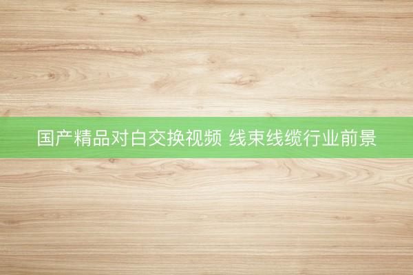国产精品对白交换视频 线束线缆行业前景