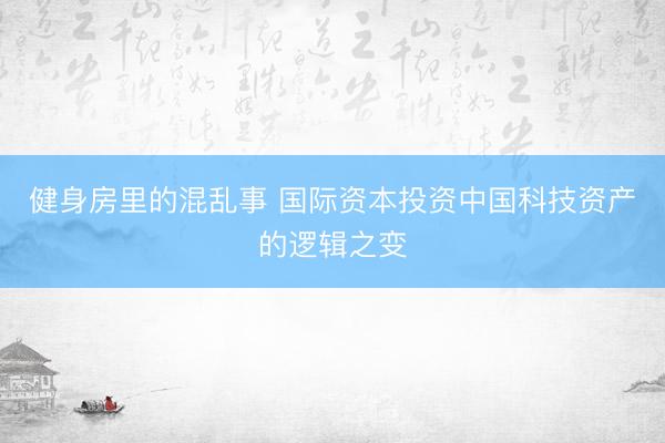 健身房里的混乱事 国际资本投资中国科技资产的逻辑之变