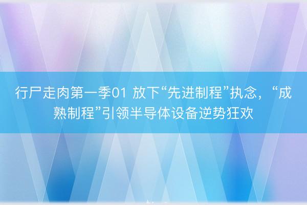行尸走肉第一季01 放下“先进制程”执念，“成熟制程”引领半导体设备逆势狂欢