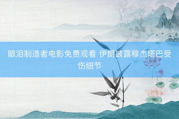 眼泪制造者电影免费观看 伊朗披露穆杰塔巴受伤细节