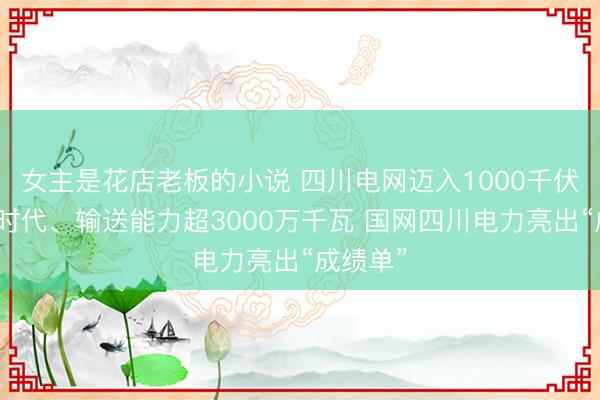 女主是花店老板的小说 四川电网迈入1000千伏特高压时代、输送能力超3000万千瓦 国网四川电力亮出“成绩单”