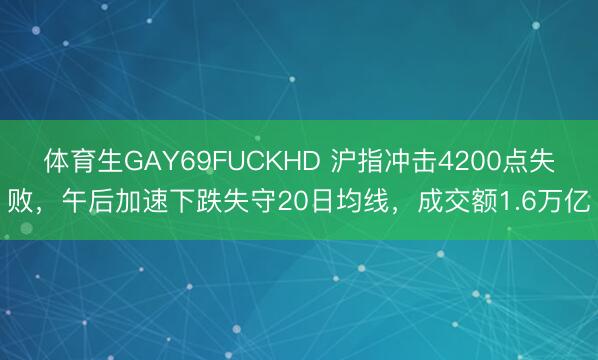 体育生GAY69FUCKHD 沪指冲击4200点失败，午后加速下跌失守20日均线，成交额1.6万亿