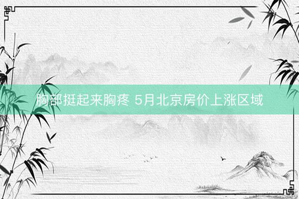 胸部挺起来胸疼 5月北京房价上涨区域