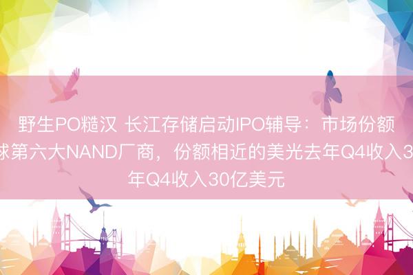 野生PO糙汉 长江存储启动IPO辅导：市场份额11%全球第六大NAND厂商，份额相近的美光去年Q4收入30亿美元