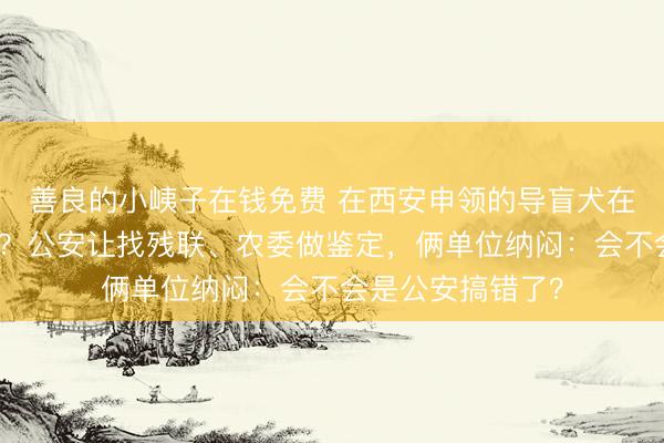 善良的小峓子在钱免费 在西安申领的导盲犬在天津办不了狗证？公安让找残联、农委做鉴定，俩单位纳闷：会不会是公安搞错了？