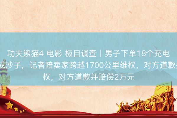 功夫熊猫4 电影 极目调查丨男子下单18个充电器退货调包成沙子，记者陪卖家跨越1700公里维权，对方道歉并赔偿2万元