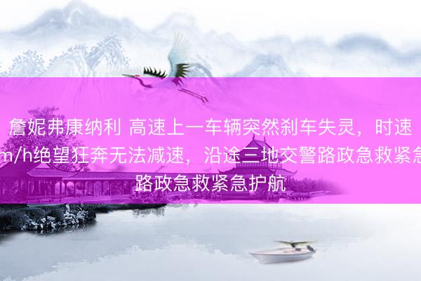 詹妮弗康纳利 高速上一车辆突然刹车失灵，时速120km/h绝望狂奔无法减速，沿途三地交警路政急救紧急护航