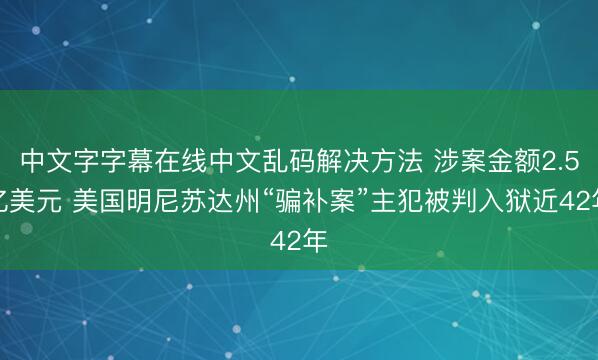 中文字字幕在线中文乱码解决方法 涉案金额2.5亿美元 美国明尼苏达州“骗补案”主犯被判入狱近42年