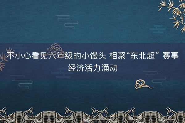 不小心看见六年级的小馒头 相聚“东北超” 赛事经济活力涌动