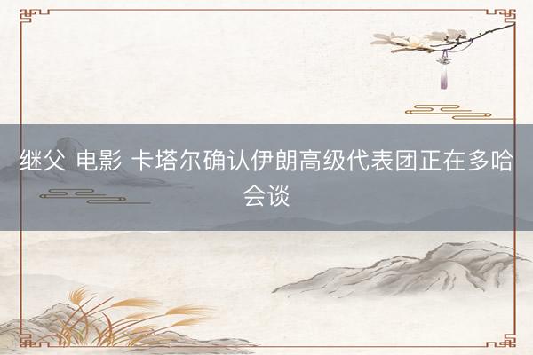 继父 电影 卡塔尔确认伊朗高级代表团正在多哈会谈