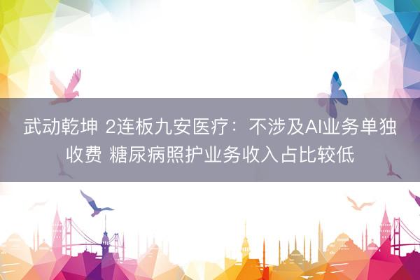 武动乾坤 2连板九安医疗：不涉及AI业务单独收费 糖尿病照护业务收入占比较低
