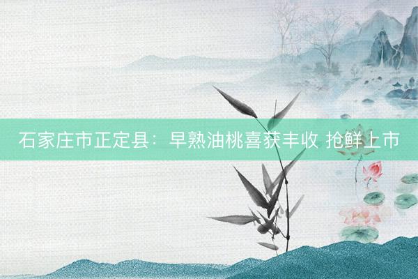 石家庄市正定县：早熟油桃喜获丰收 抢鲜上市