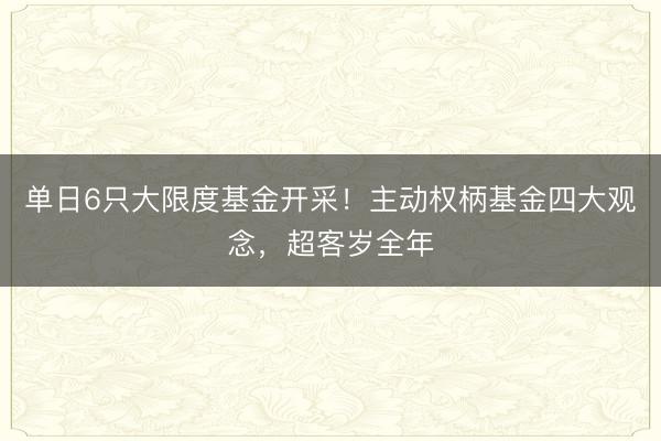 单日6只大限度基金开采！主动权柄基金四大观念，超客岁全年