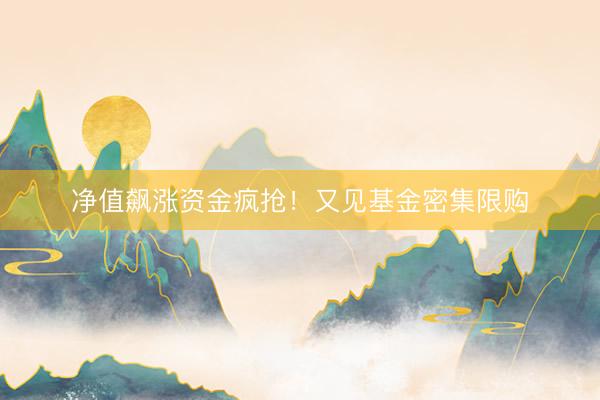 净值飙涨资金疯抢！又见基金密集限购