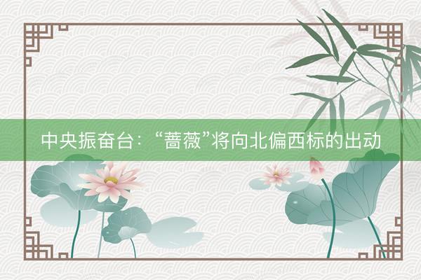 中央振奋台:“蔷薇”将向北偏西标的出动