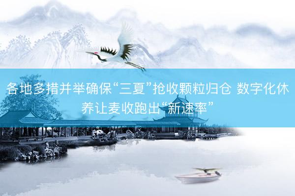 各地多措并举确保“三夏”抢收颗粒归仓 数字化休养让麦收跑出“新速率”
