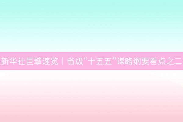 新华社巨擘速览｜省级“十五五”谋略纲要看点之二