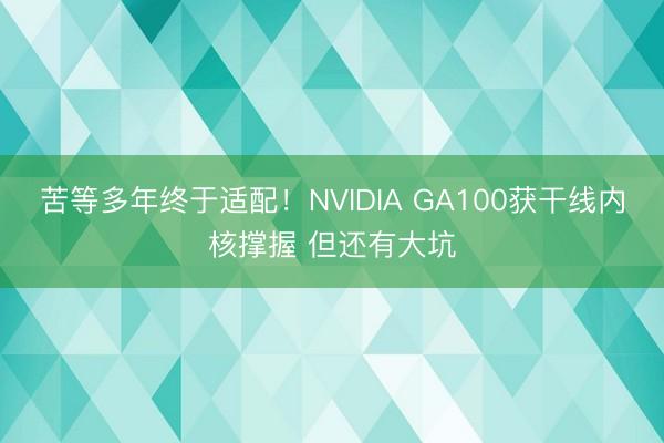 苦等多年终于适配！NVIDIA GA100获干线内核撑握 但还有大坑