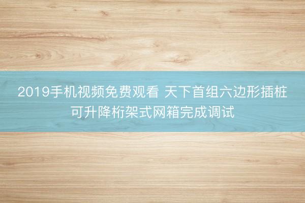 2019手机视频免费观看 天下首组六边形插桩可升降桁架式网箱完成调试