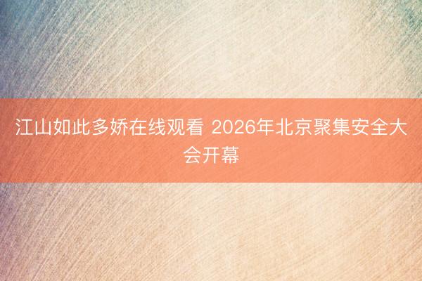 江山如此多娇在线观看 2026年北京聚集安全大会开幕