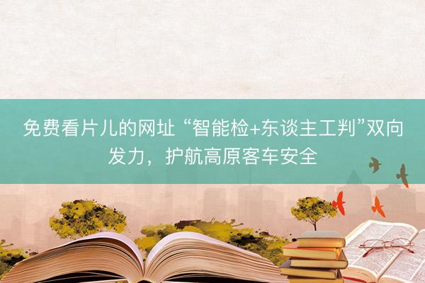 免费看片儿的网址 “智能检+东谈主工判”双向发力，护航高原客车安全