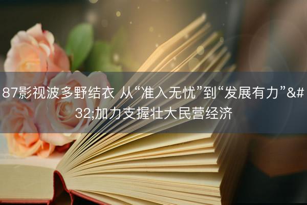 87影视波多野结衣 从“准入无忧”到“发展有力” 加力支握壮大民营经济