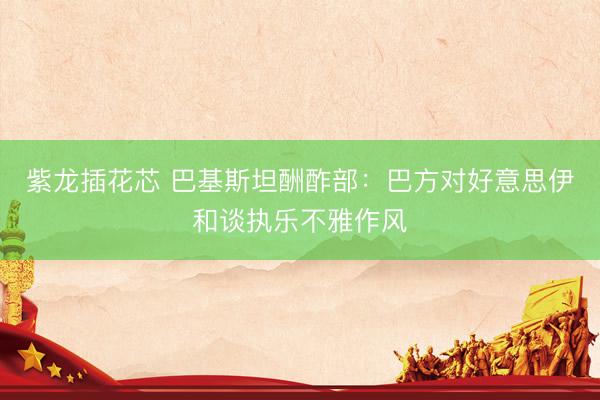 紫龙插花芯 巴基斯坦酬酢部：巴方对好意思伊和谈执乐不雅作风