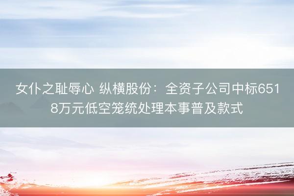 女仆之耻辱心 纵横股份：全资子公司中标6518万元低空笼统处理本事普及款式