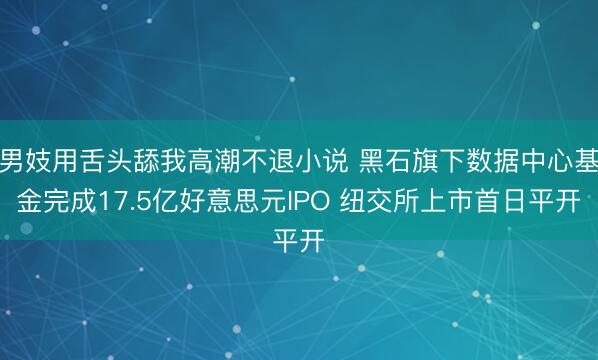 男妓用舌头舔我高潮不退小说 黑石旗下数据中心基金完成17.5亿好意思元IPO 纽交所上市首日平开