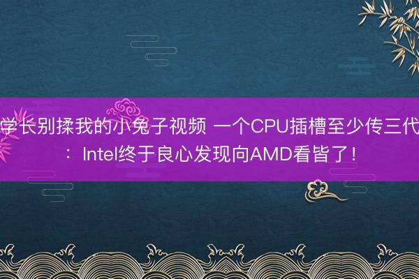 学长别揉我的小兔子视频 一个CPU插槽至少传三代：Intel终于良心发现向AMD看皆了！