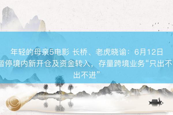 年轻的母亲5电影 长桥、老虎晓谕:6月12日起暂停境内新开仓及资金转入,存量跨境业务“只出不进”