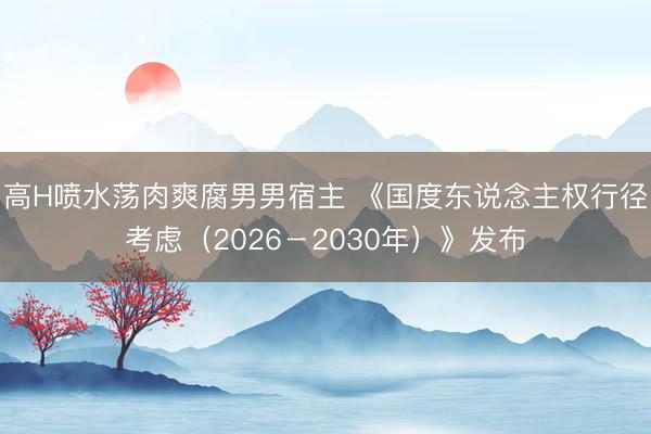 高H喷水荡肉爽腐男男宿主 《国度东说念主权行径考虑(2026-2030年)》发布