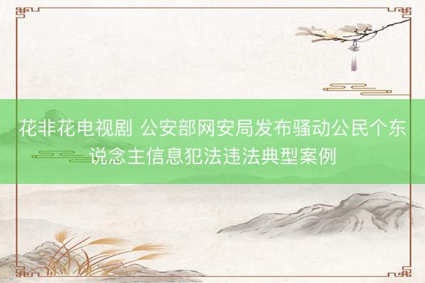 花非花电视剧 公安部网安局发布骚动公民个东说念主信息犯法违法典型案例