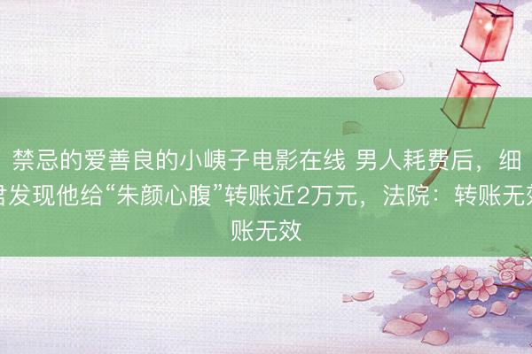 禁忌的爱善良的小峓子电影在线 男人耗费后，细君发现他给“朱颜心腹”转账近2万元，法院：转账无效