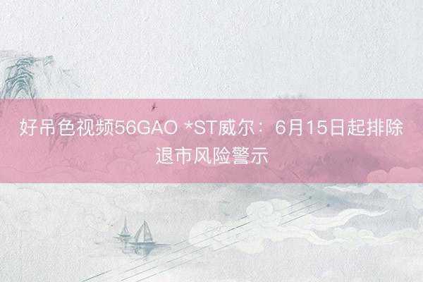 好吊色视频56GAO *ST威尔：6月15日起排除退市风险警示