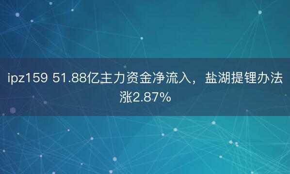 ipz159 51.88亿主力资金净流入，盐湖提锂办法涨2.87%