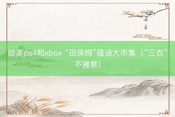 欧美ps4和xbox “田保姆”蕴涵大市集（“三农”不雅察）