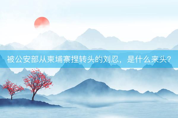 被公安部从柬埔寨捏转头的刘忍，是什么来头？