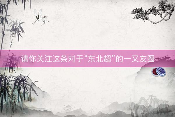 请你关注这条对于“东北超”的一又友圈