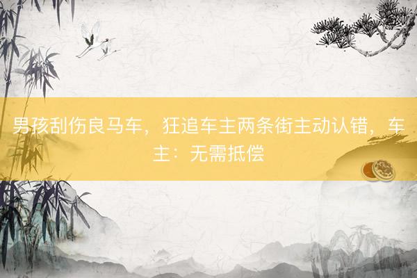 男孩刮伤良马车,狂追车主两条街主动认错,车主:无需抵偿